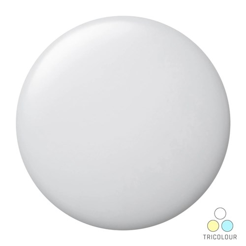 LEDVANCE 20W COOL WHITE CEILING OYSTER 4058075802384